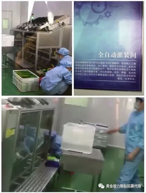 黃金視力眼貼新工廠開放日 代理商參觀見證品質(zhì)升級，國內(nèi)廣告布局引領(lǐng)市場新浪潮